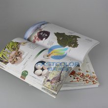 廣州坑盒制作與銷售 專業印刷、生產與廣告定制一體化服務